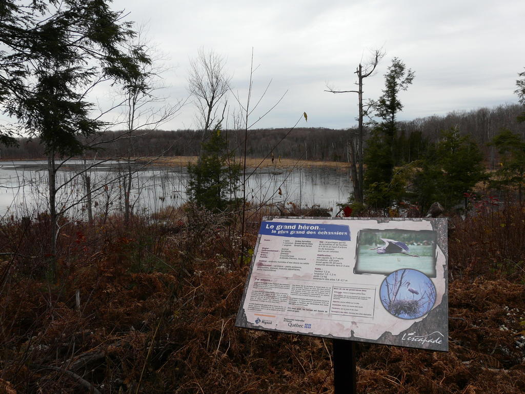 Auberge Des Gallant Rigaud Eksteriør billede