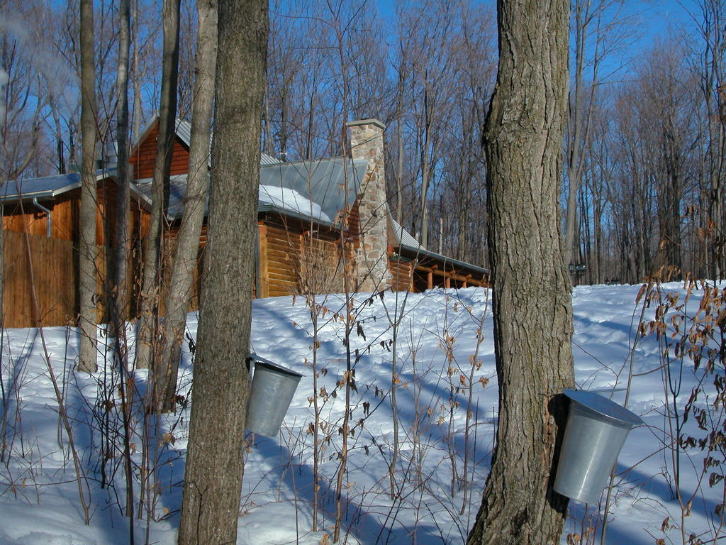 Auberge Des Gallant Rigaud Eksteriør billede