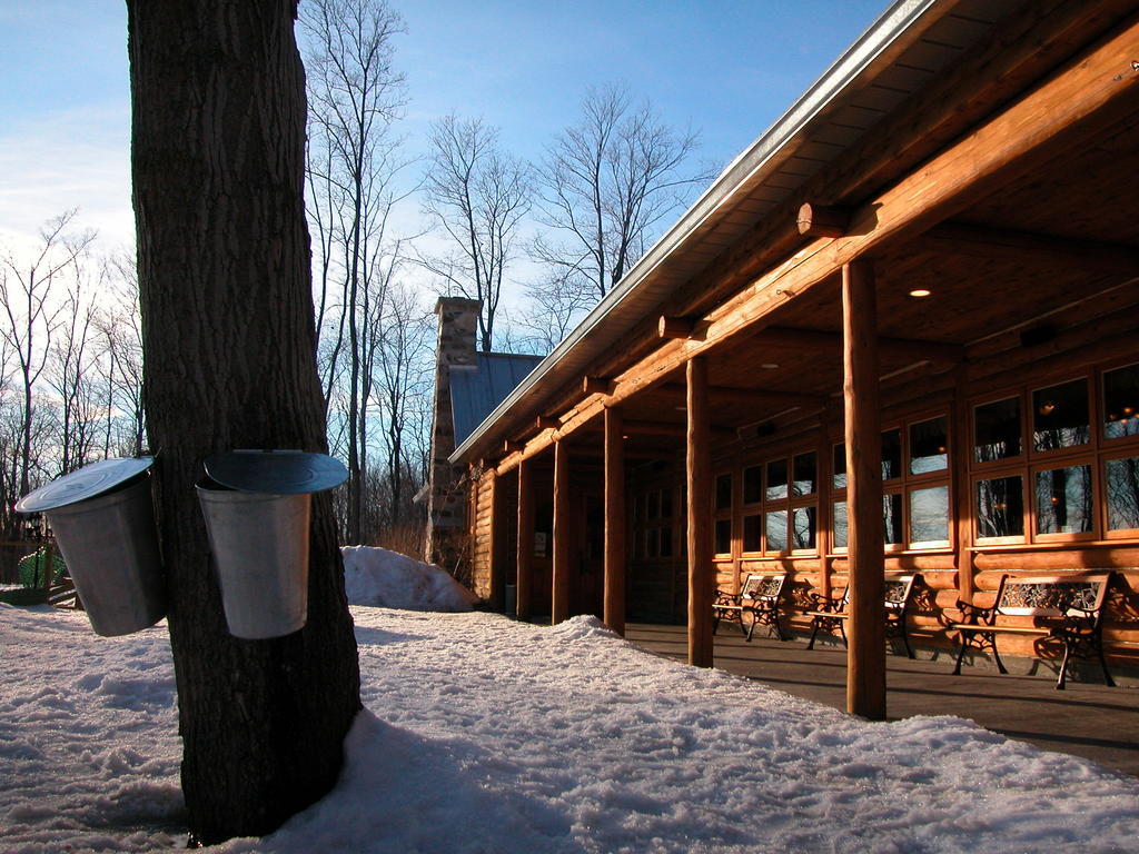 Auberge Des Gallant Rigaud Eksteriør billede